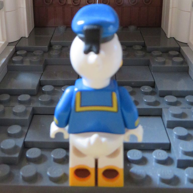 Donald Duck von hinten